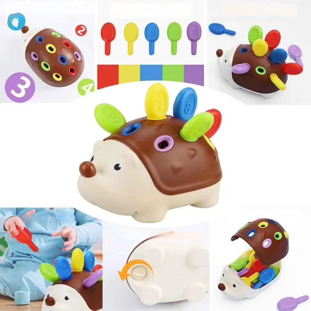 Brinquedo Ouriço montessori Educativo - Oriço