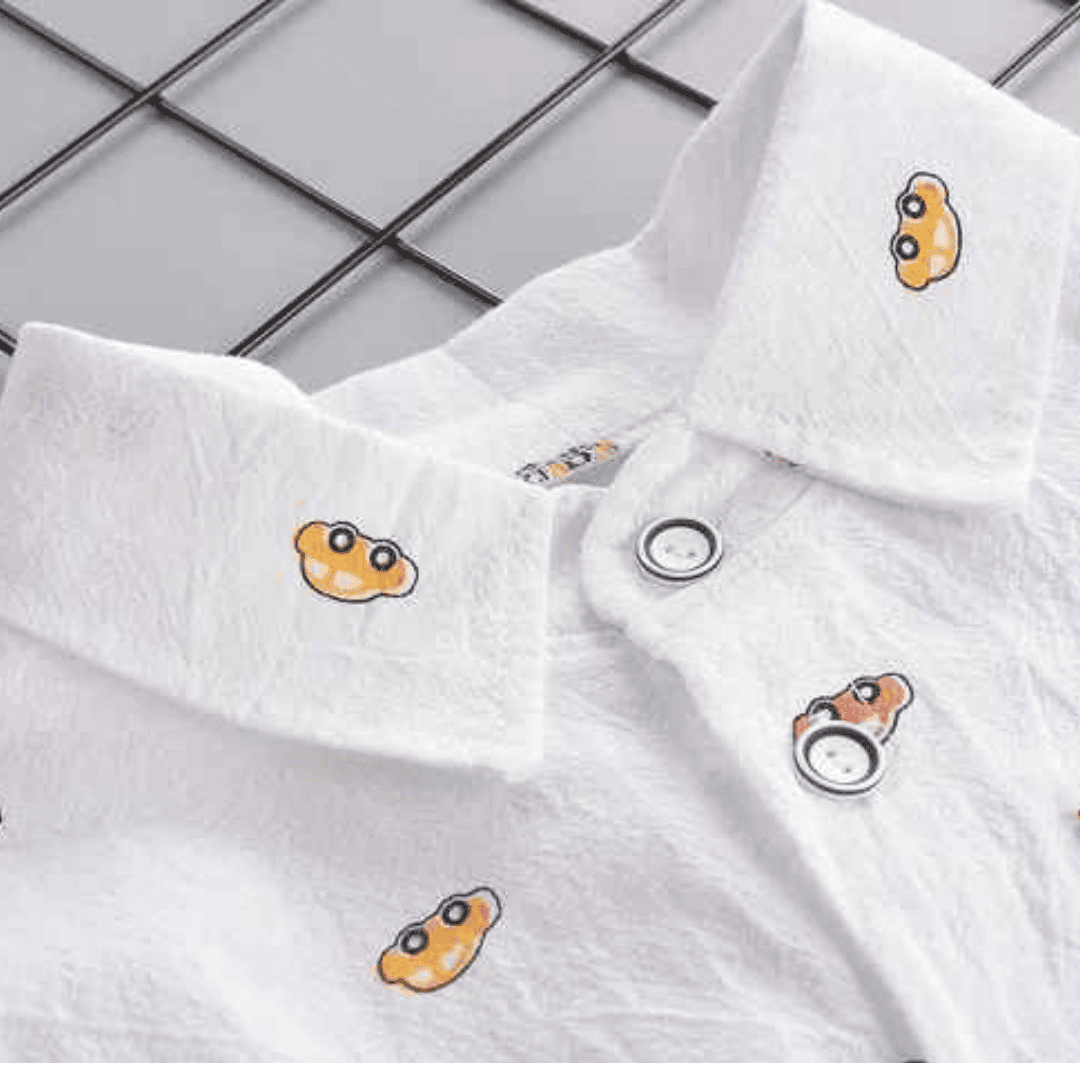 Conjunto Infantil Casual Camisa e Calça 2 Peças - Janire