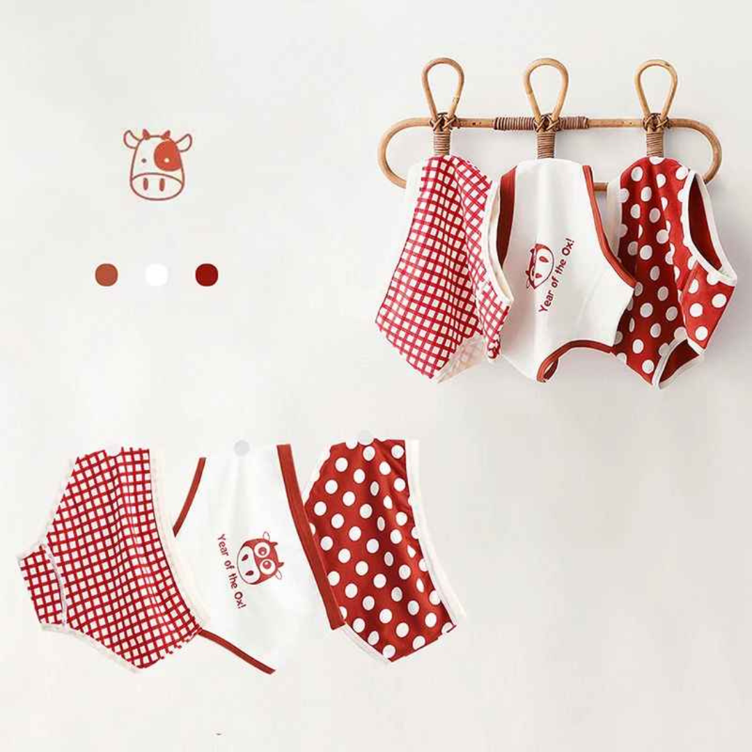 Kit Calcinha Crianças Floral 3 Peças  - Cabintima