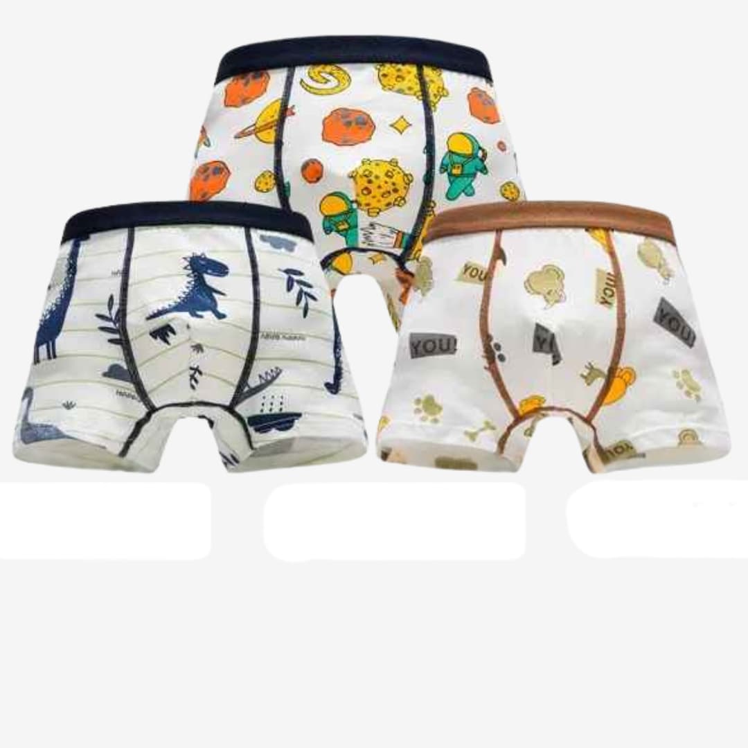 Kit 4 Cuecas Boxer de Algodão Macio e Confortáveis -  Noah