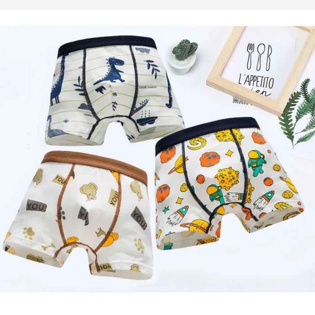 Kit 4 Cuecas Boxer de Algodão Macio e Confortáveis -  Noah