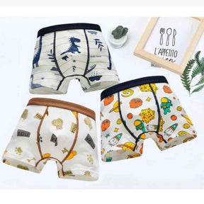 Kit 4 Cuecas Boxer de Algodão Macio e Confortáveis -  Noah