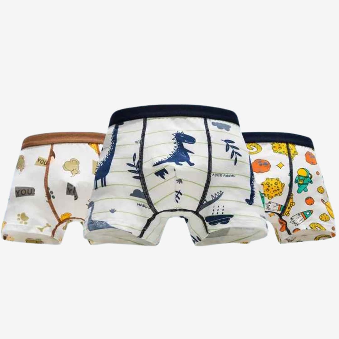 Kit 4 Cuecas Boxer de Algodão Macio e Confortáveis -  Noah