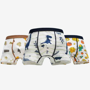 Kit 4 Cuecas Boxer de Algodão Macio e Confortáveis -  Noah